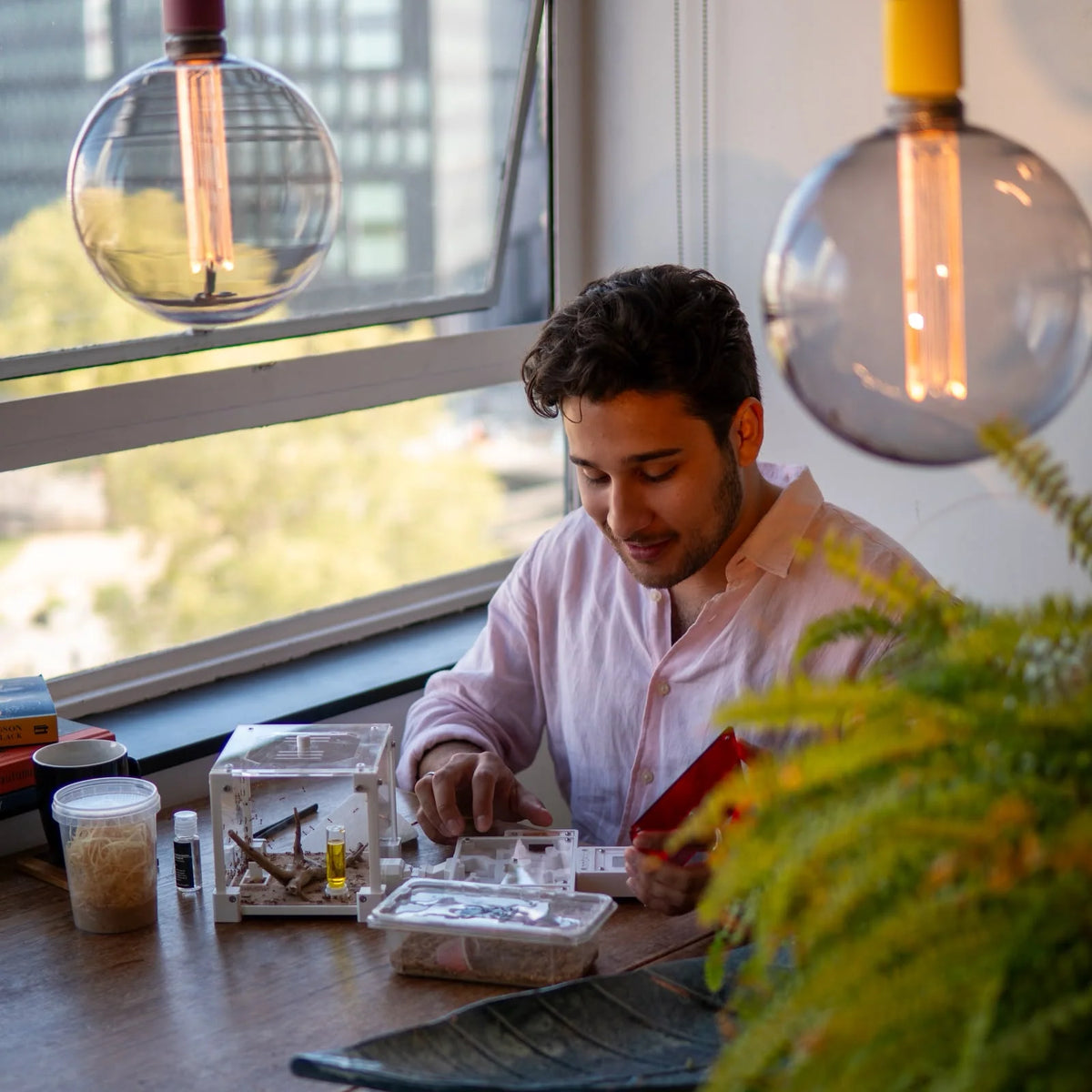 Choosing your first ant colony