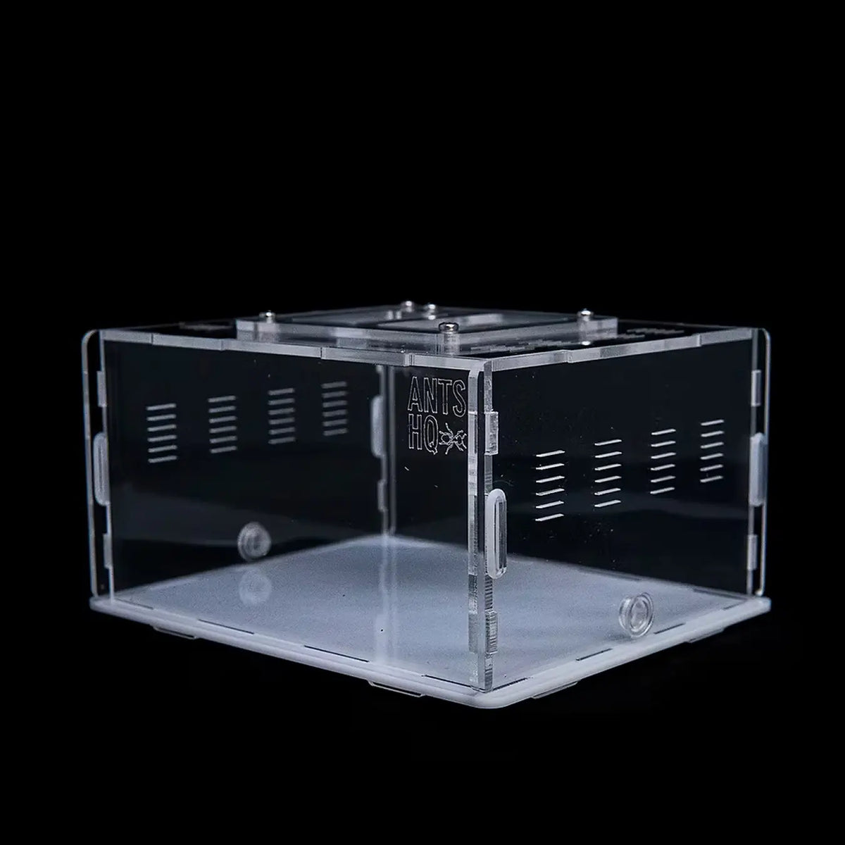 eXplorer I acrylic ant outworld with clear panels