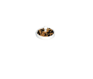 Disk Feeder Dish