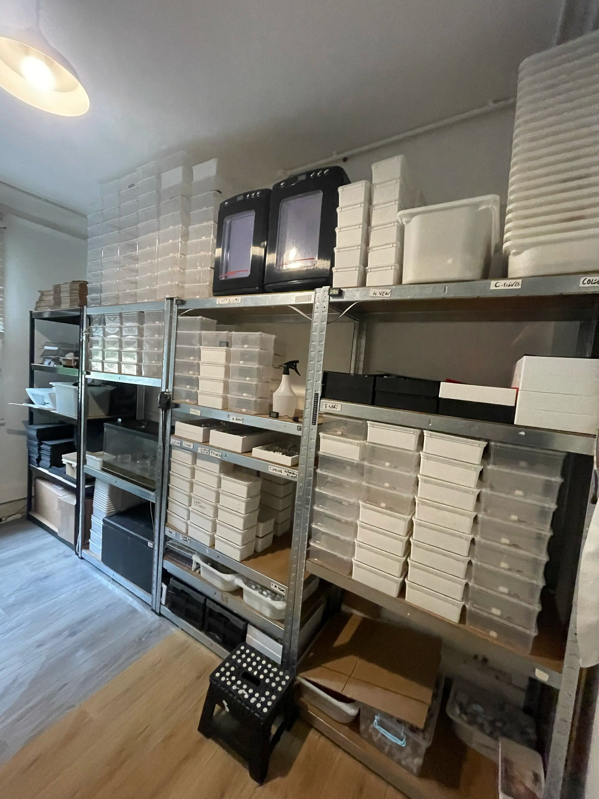 Ants HQ office and ant-keeping equipment in London