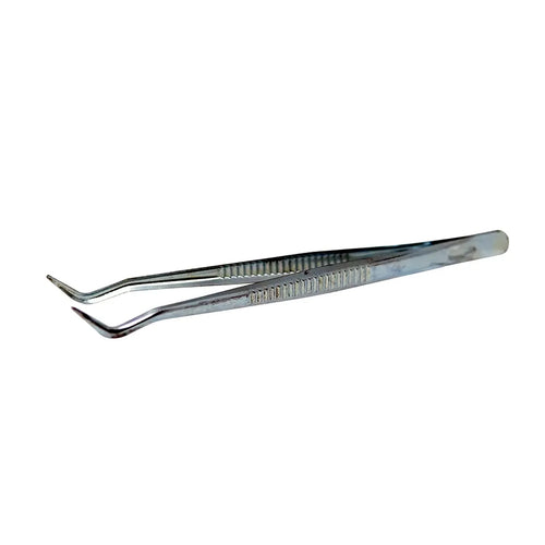 Angled metal tweezers for ant keeping