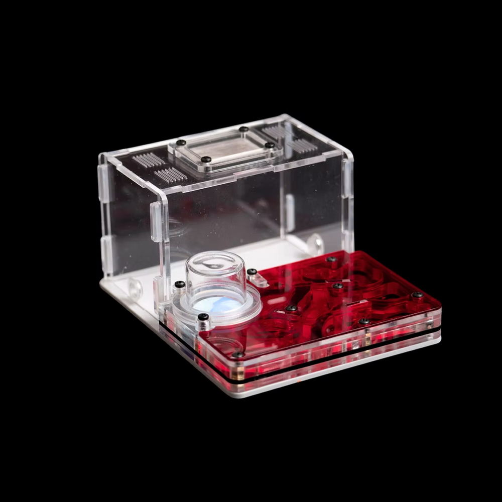 Astrolite small ant nest starter kit with red chambers