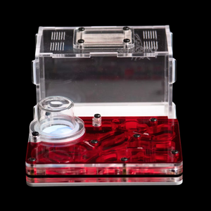 Astrolite small ant nest starter kit with red chambers
