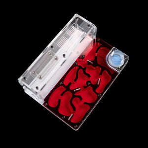 Astrolite large ant nest starter kit with red chambers