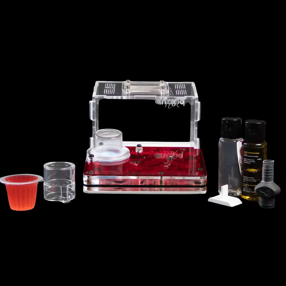 Astrolite small ant nest starter kit with red chambers