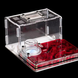Astrolite small ant nest starter kit with red chambers