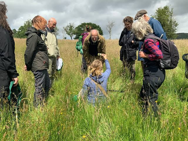 People taking part in an outdoor Buglife activity