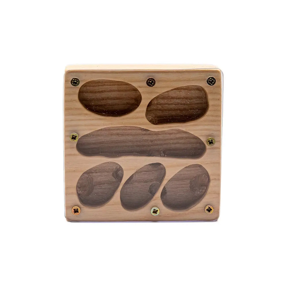 Boxhead wooden ant nest with carved nesting chambers