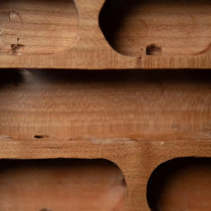 Large Dryad wooden ant nest with carved chambers