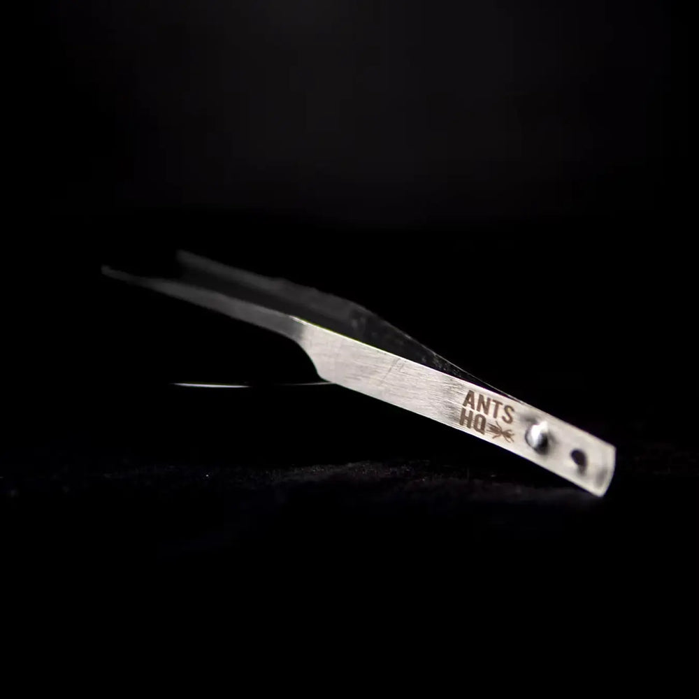 Fine ant-keeping forceps for handling small items