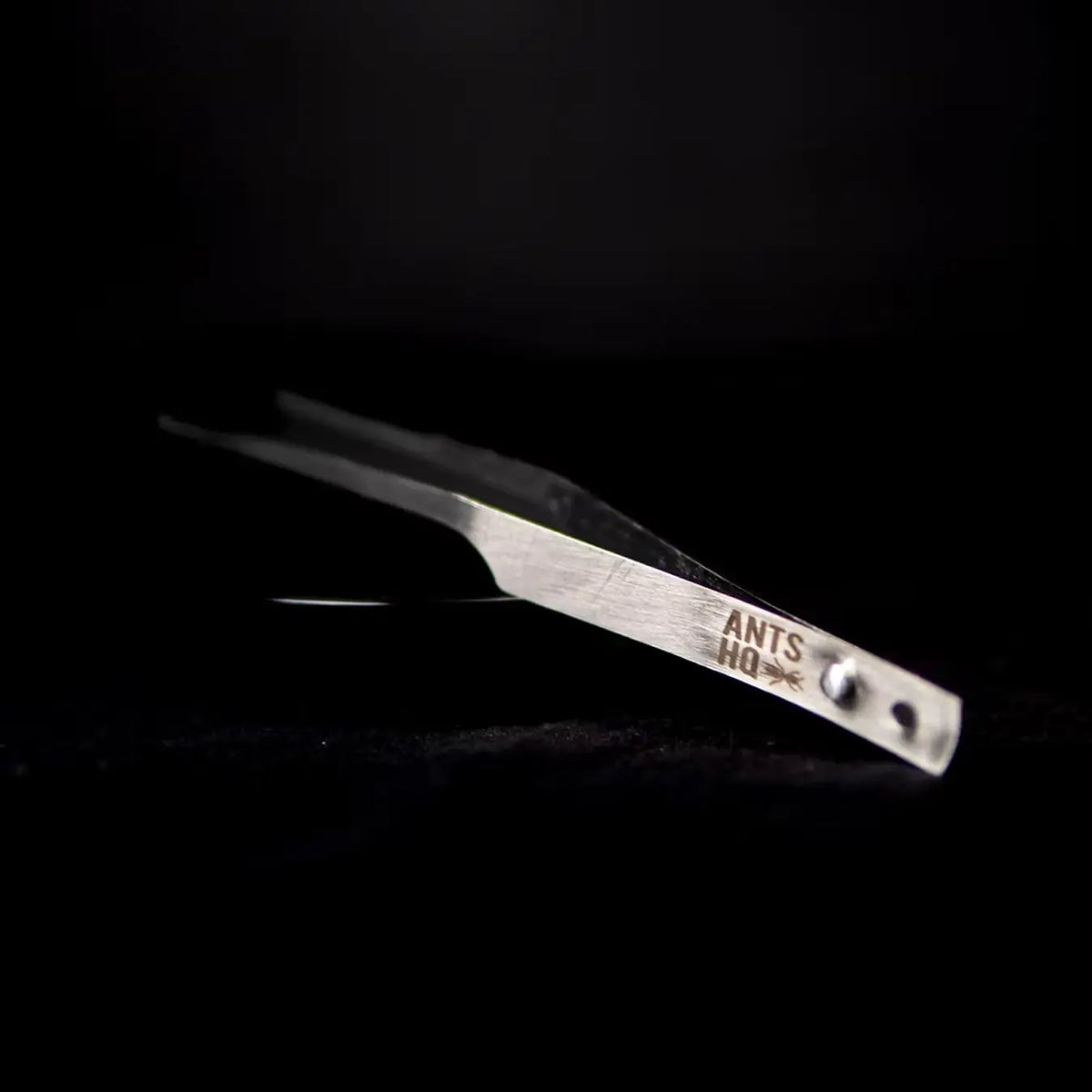 Fine ant-keeping forceps for handling small items