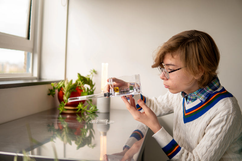 Young ant keeper watching a colony in a glass nest