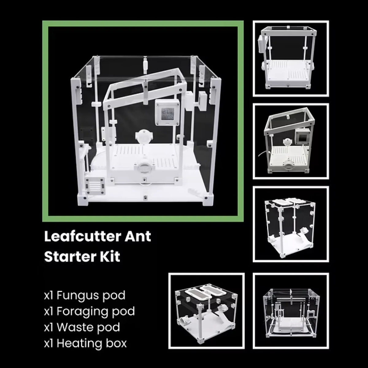 Leafcutter ant starter kit with fungus pods and feeding equipment
