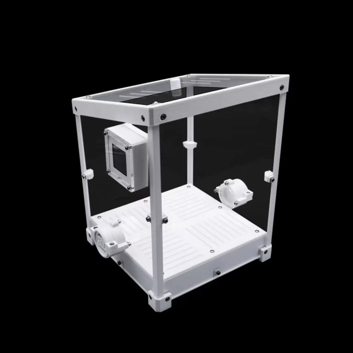 Leafcutter ant fungus pod with clear acrylic enclosure