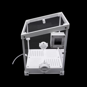 Leafcutter ant fungus pod with clear acrylic enclosure