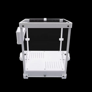 Leafcutter ant fungus pod with clear acrylic enclosure