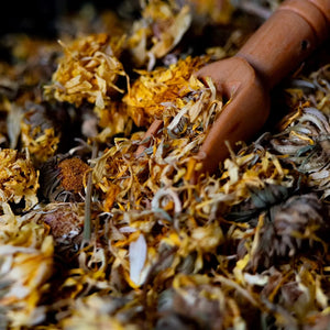 Dandelion and marigold leaf mix for leafcutter ants