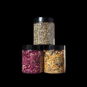 Leafcutter ant forage mix triple pack subscription