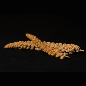 Millet seed branches for seed-eating ants