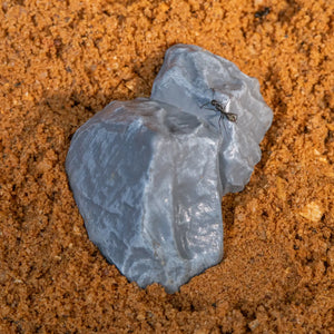 Mini ridge rock decor beside an ant on sand