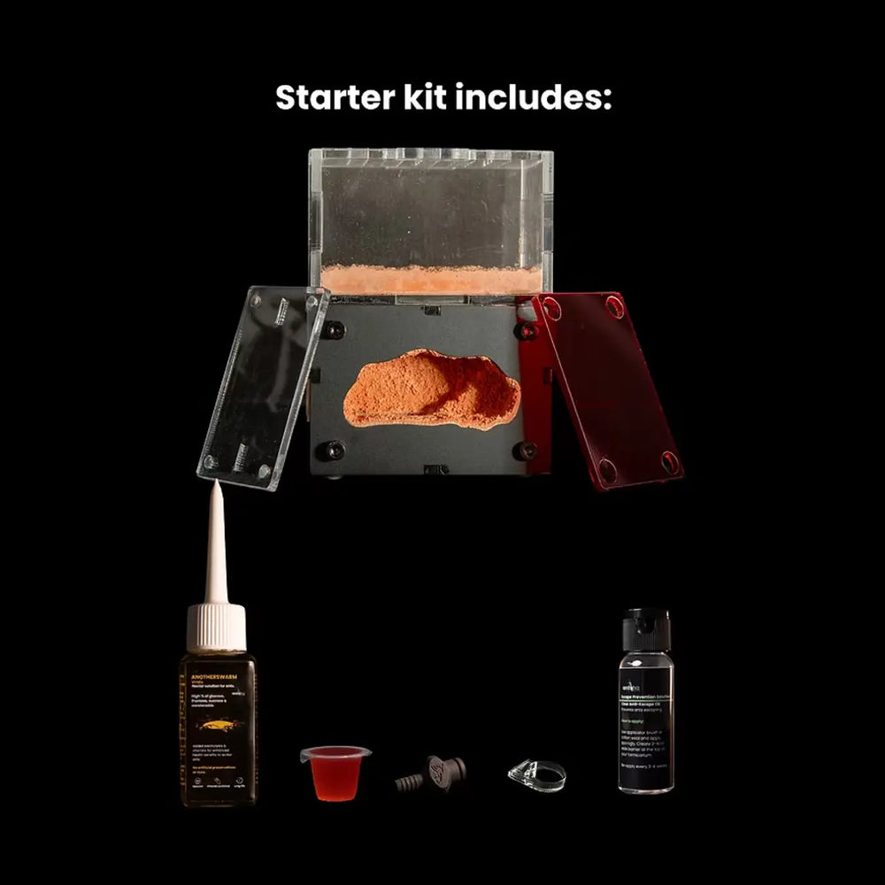 Myrmeco Nano ant nest starter kit with compact nest chambers