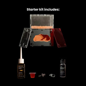 Myrmeco Nano ant nest starter kit with compact nest chambers