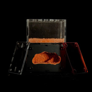 Myrmeco Nano ant nest starter kit with compact nest chambers