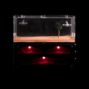 Myrmeco I ant nest shown in a home setup