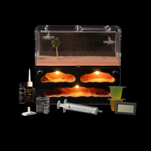 Myrmeco I ant nest starter kit with connected foraging area