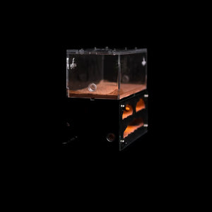 Myrmeco I ant nest starter kit with connected foraging area