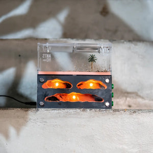 Myrmeco I ant nest starter kit with connected foraging area