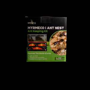 Myrmeco I ant nest starter kit with connected foraging area