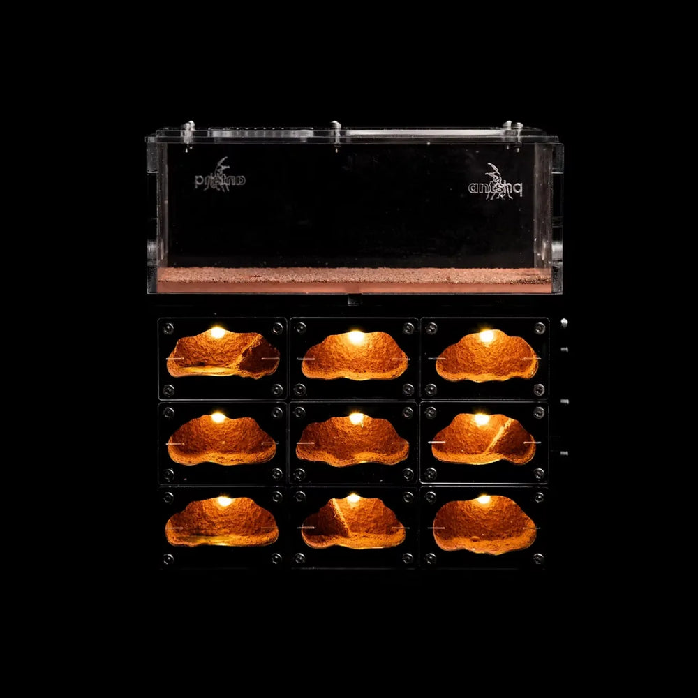 Myrmeco II ant nest with red heated chambers