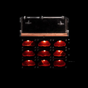 Myrmeco II ant nest with red heated chambers