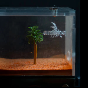 Myrmeco I ant nest shown in a home setup