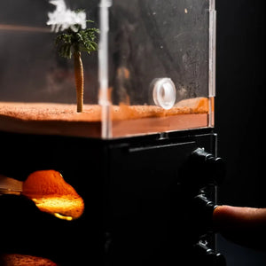 Myrmeco I ant nest shown in a home setup