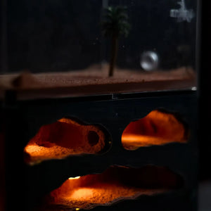 Myrmeco I ant nest shown in a home setup