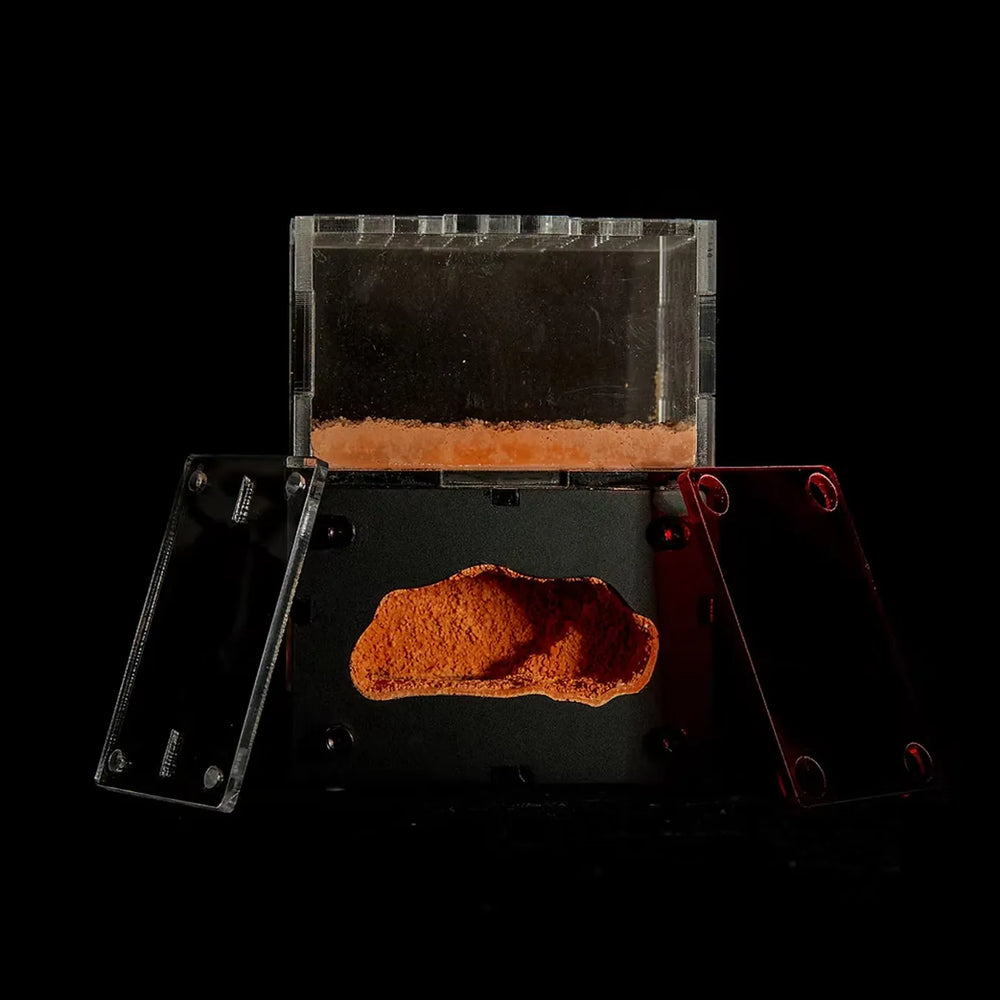Myrmeco Nano ant nest with red heated chambers