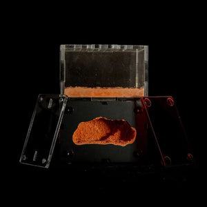 Myrmeco Nano ant nest with red heated chambers