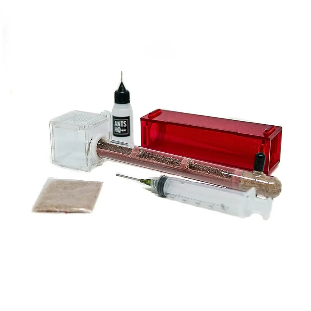 Ant nursery tube starter kit with red acrylic tube hides