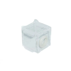 Glass ant nursery tube with a red connector