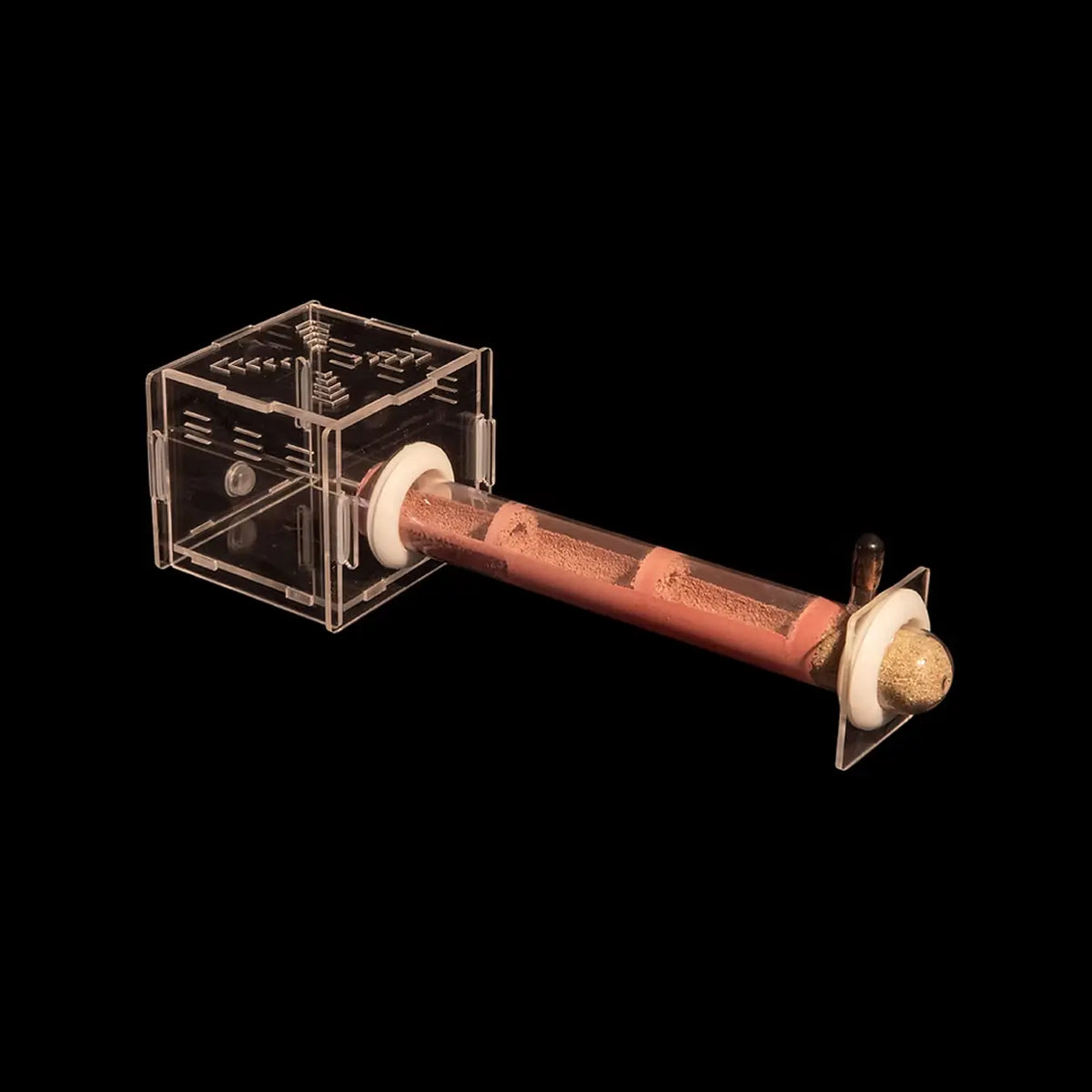 Glass ant nursery tube with a red connector