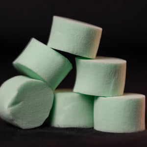 PVA foam stoppers for ant test tubes