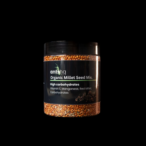 Red millet seed mix for ants in a jar or refill tube