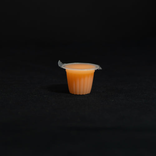 Small coloured cups for ant feeding