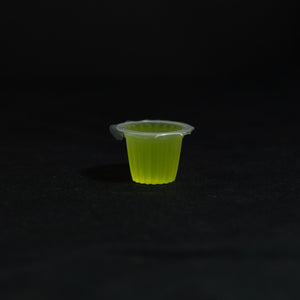 Clear acrylic ant-keeping accessory photographed on a dark background