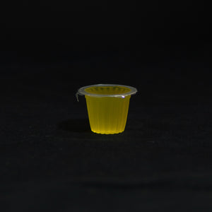 Clear acrylic ant-keeping accessory photographed on a dark background