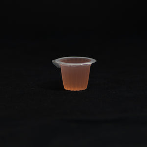 Clear acrylic ant-keeping accessory photographed on a dark background