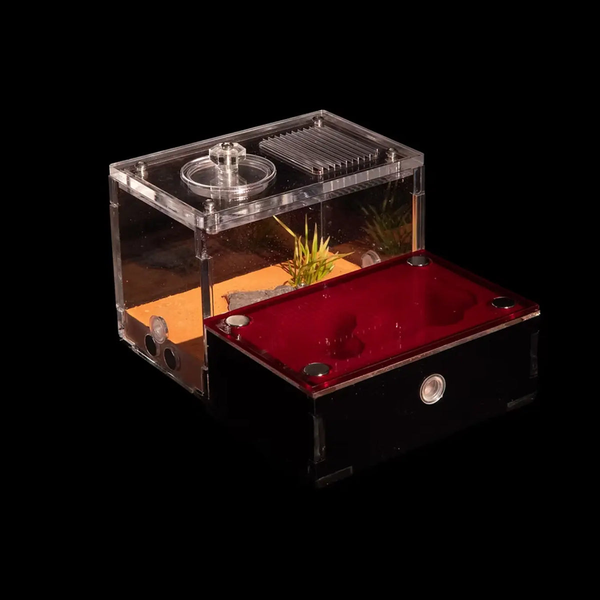 Ultisol I ant nest with sand chambers and clear acrylic outworld