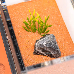 Ultisol I ant nest with sand chambers and clear acrylic outworld